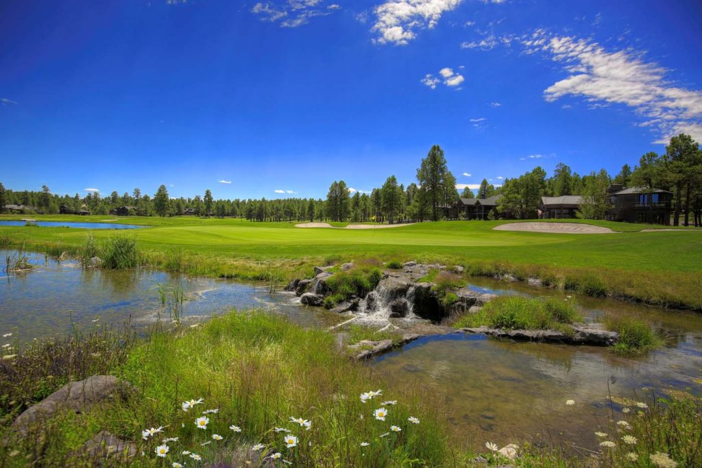 Meadow Pond